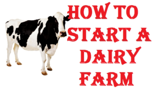 डेयरी फार्म हाउस के कारोबार को खोलने की जानकारी | How to Start dairy